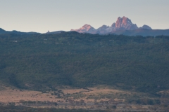 Giraffe and Mount Kenya - Lewa Wildlife Conservancy
