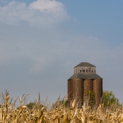 Grain Elevator and Corn - Elva, IL
