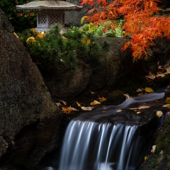 Lantern and Waterfall - Anderson Japanese Gardens